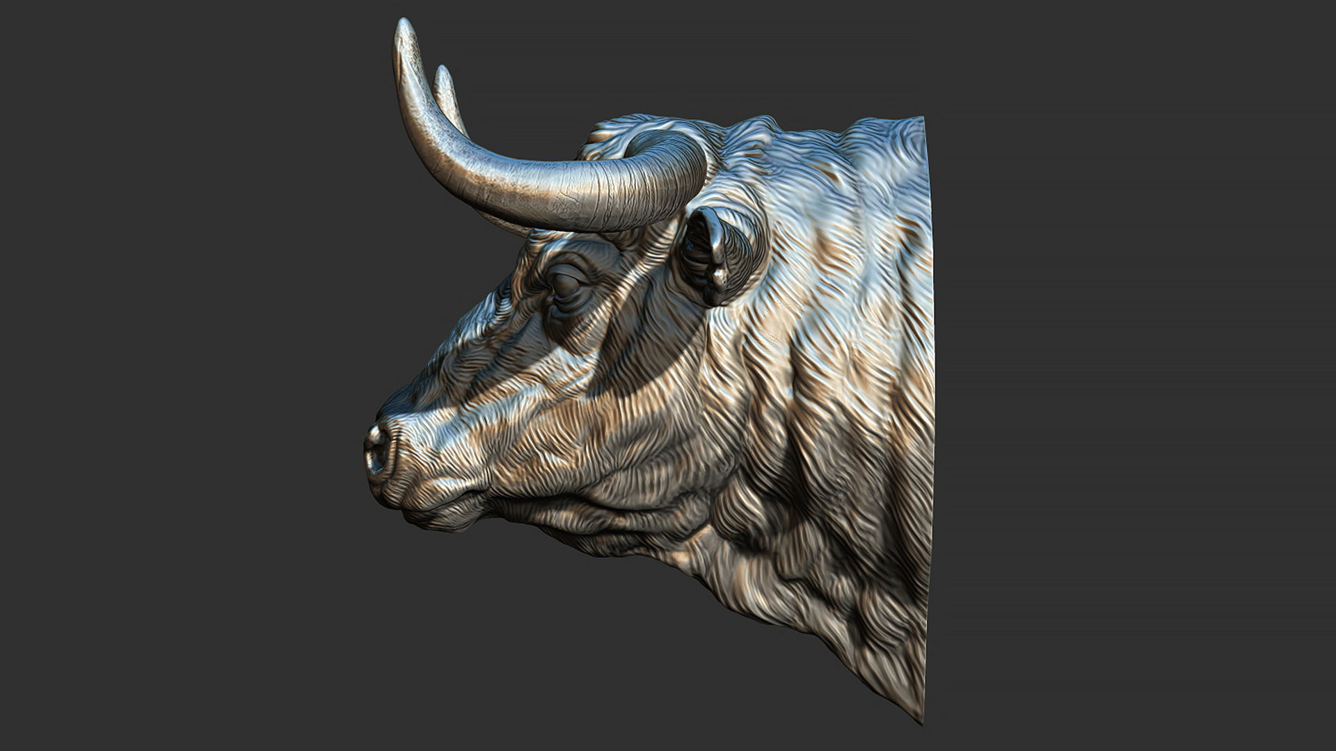 Bull head 3D print model_2