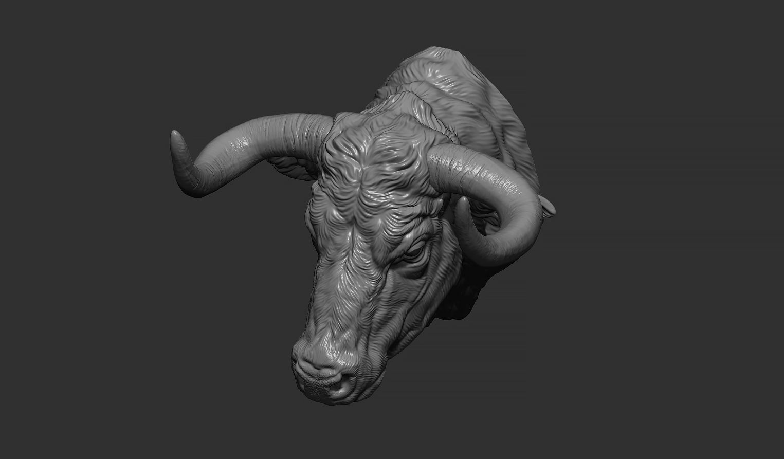 Bull head 3D print model_6