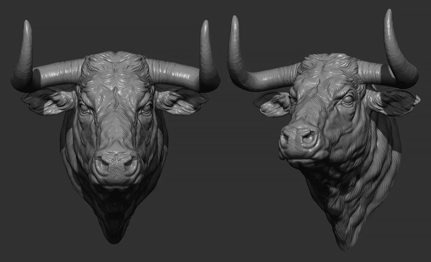 Bull head 3D print model_0