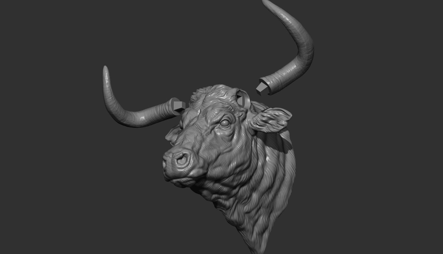 Bull head 3D print model_14