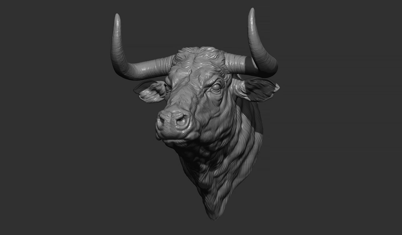 Bull head 3D print model_10