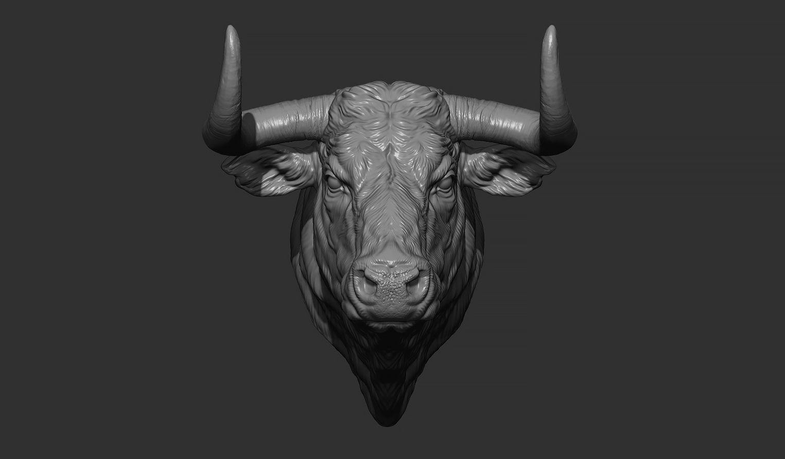Bull head 3D print model_5