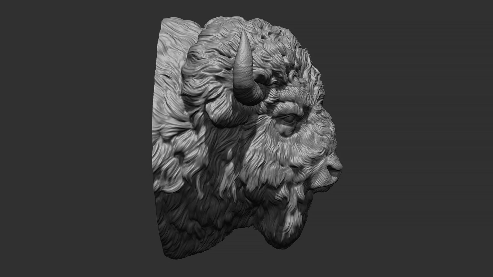 Bison bust 3D print model_4