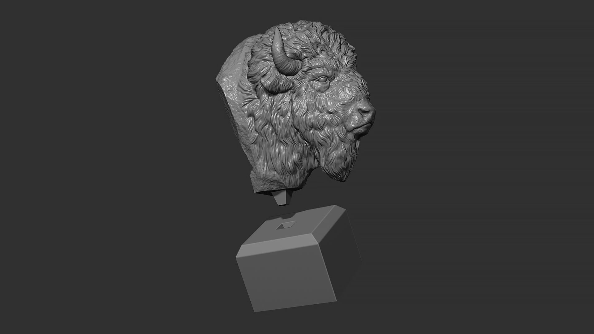 Bison bust 3D print model_20