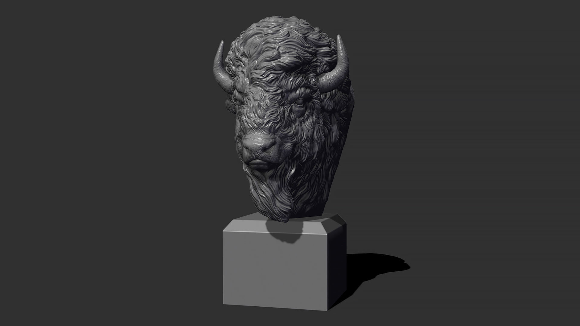 Bison bust 3D print model_12
