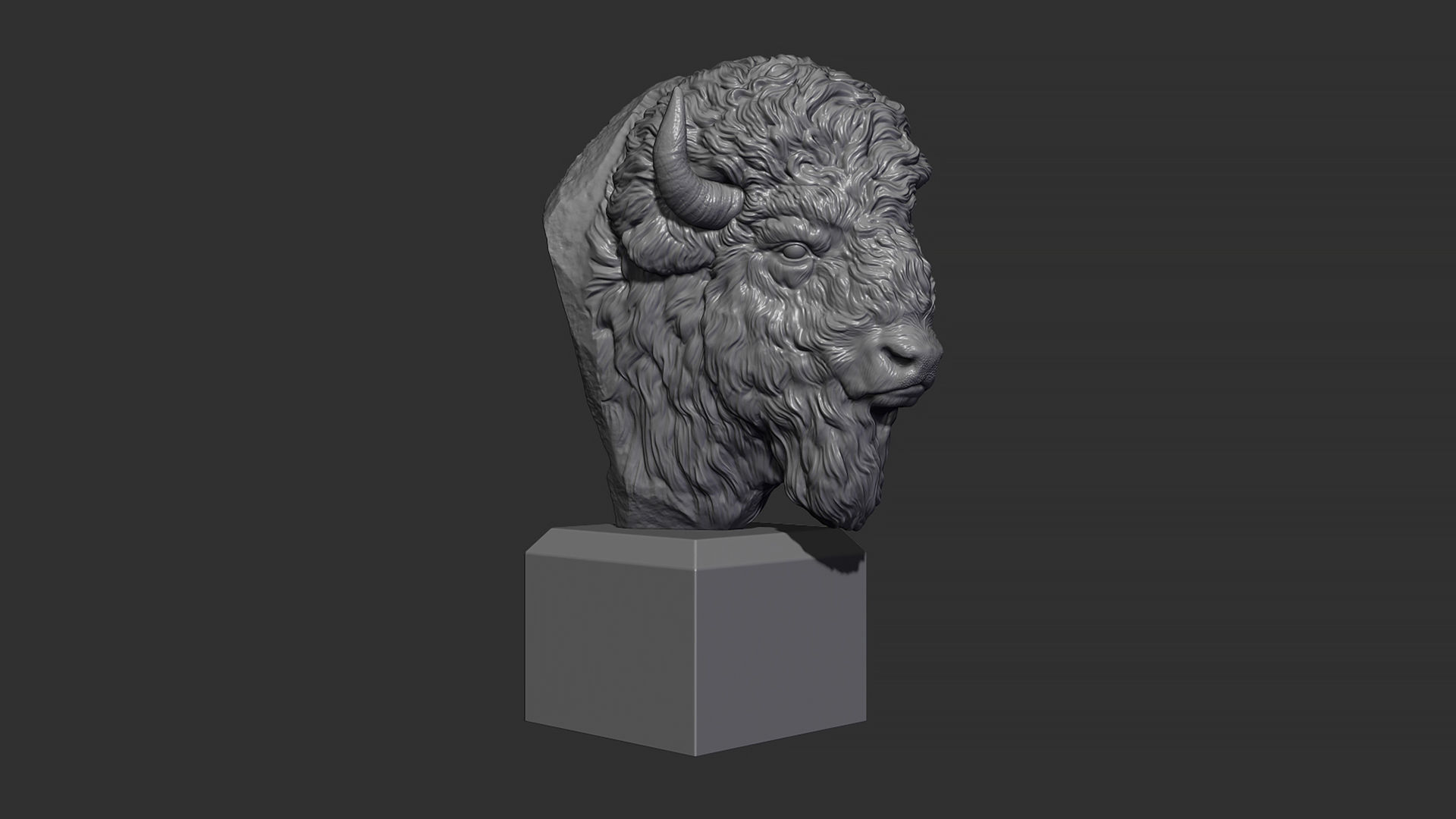 Bison bust 3D print model_9