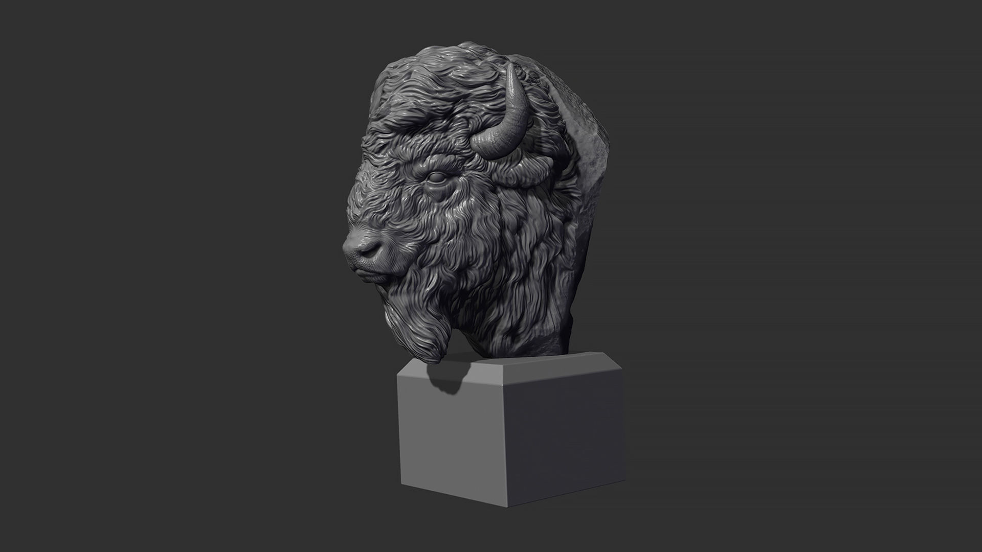 Bison bust 3D print model_11