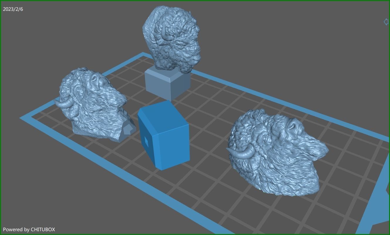 Bison bust 3D print model_24