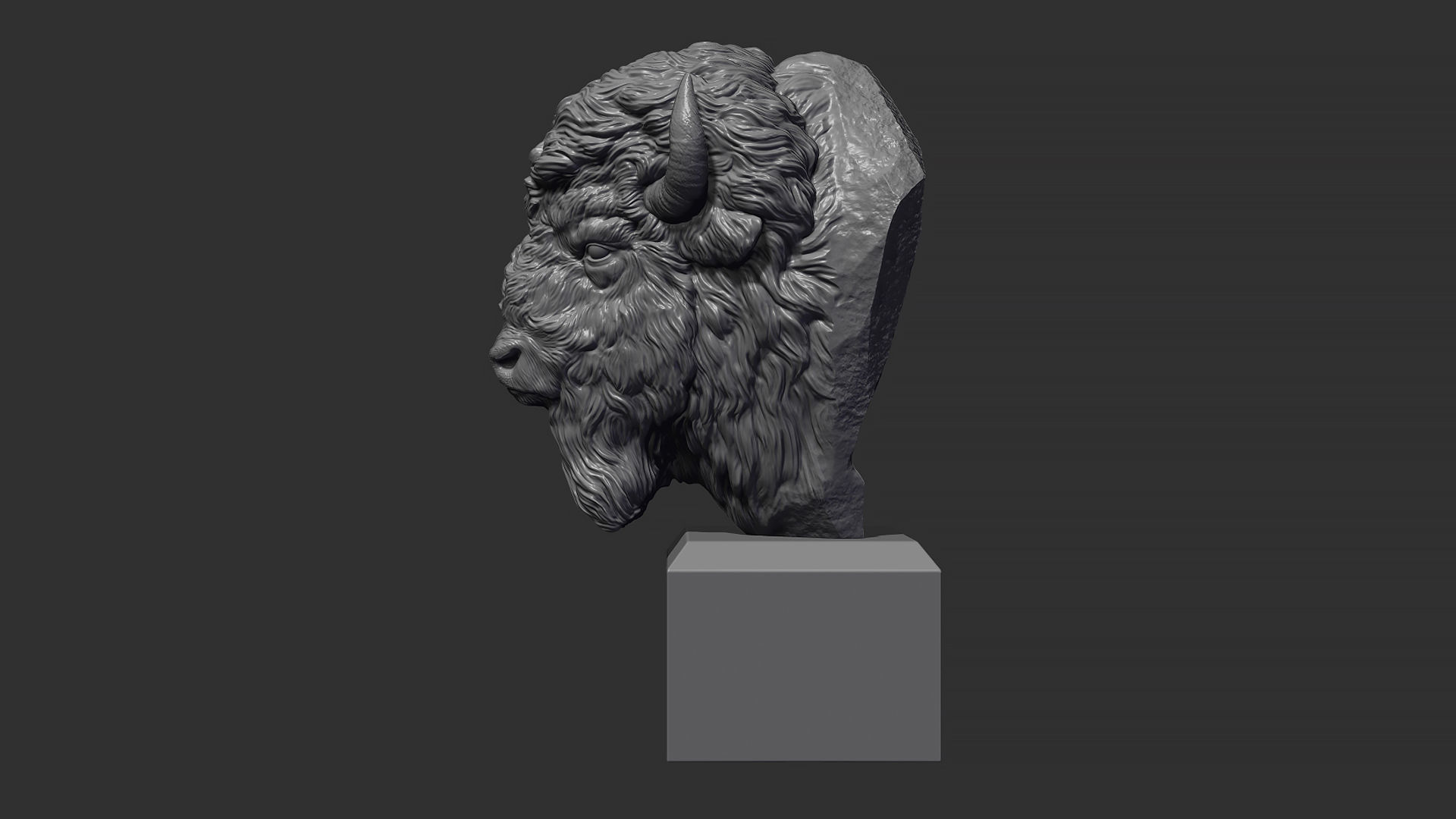 Bison bust 3D print model_13