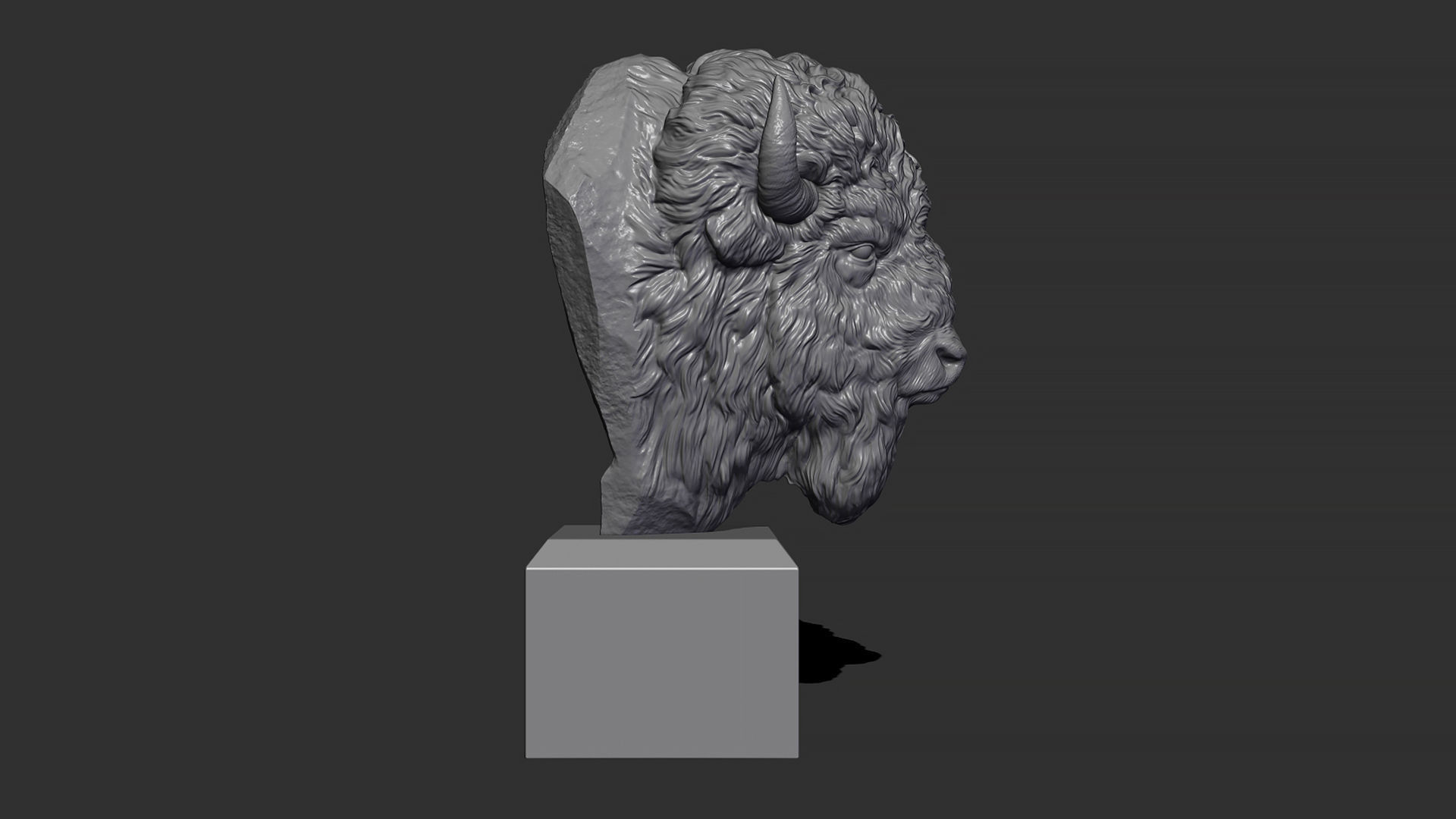 Bison bust 3D print model_10