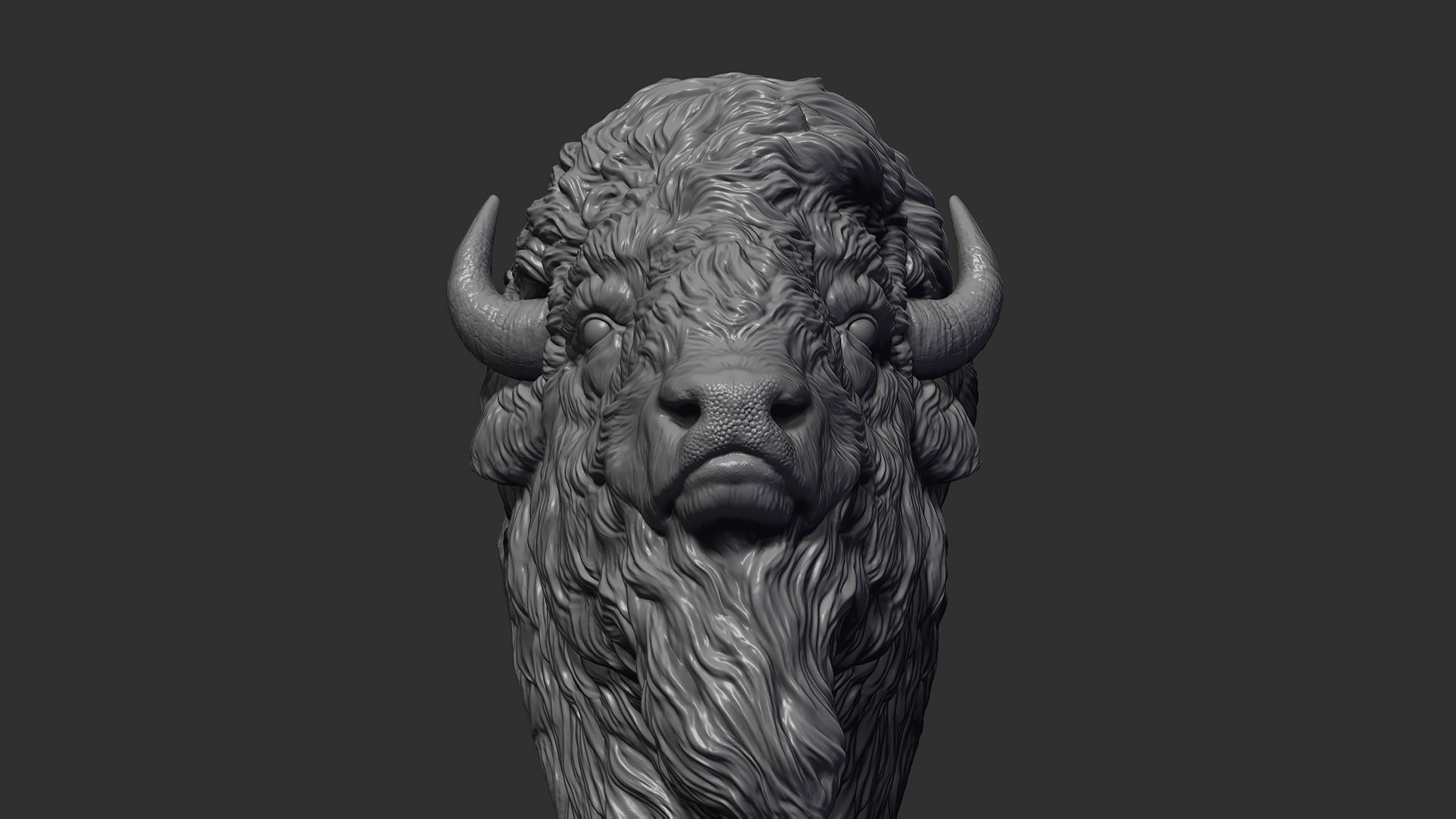 Bison bust 3D print model_2