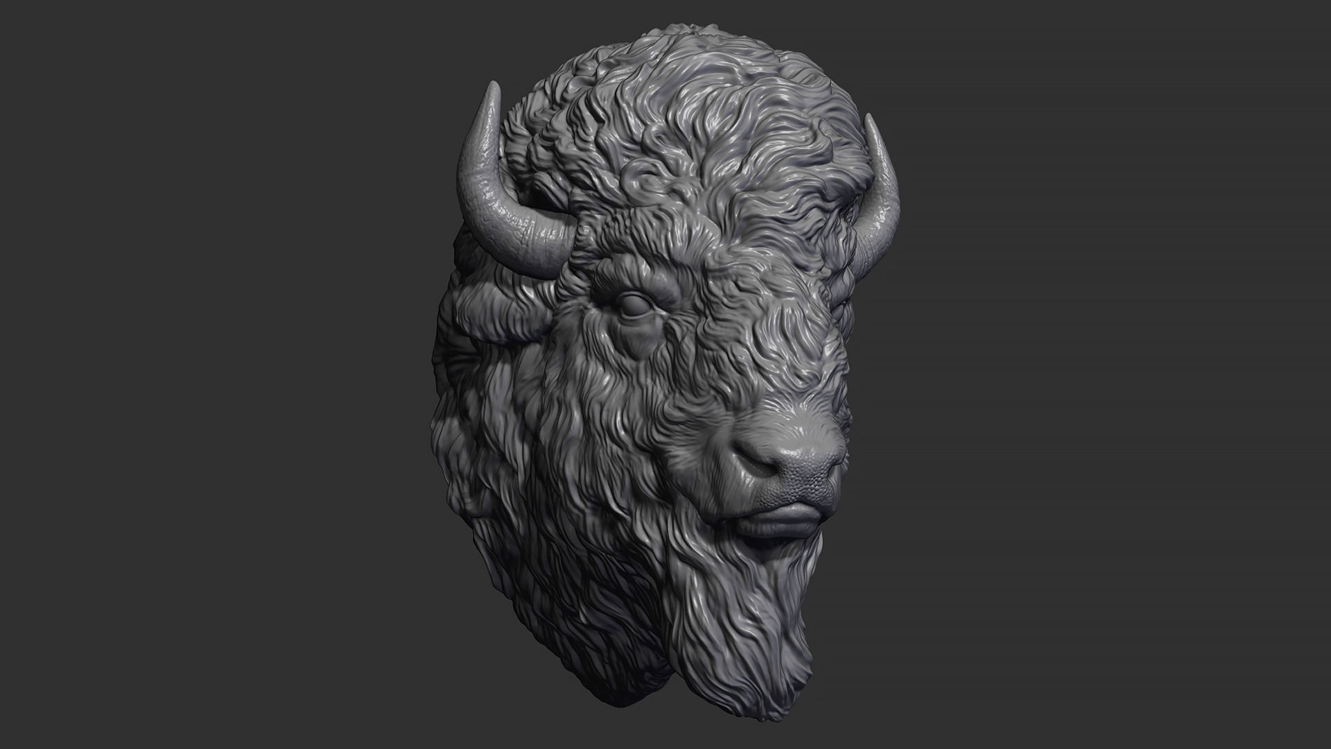 Bison bust 3D print model_3