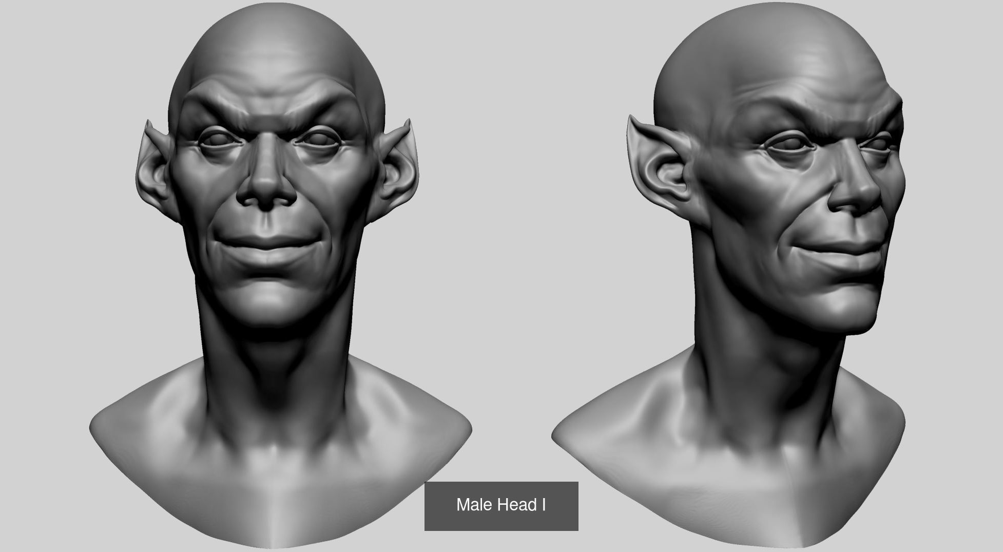 Various Male and Female Head A 3D Model Collection_9