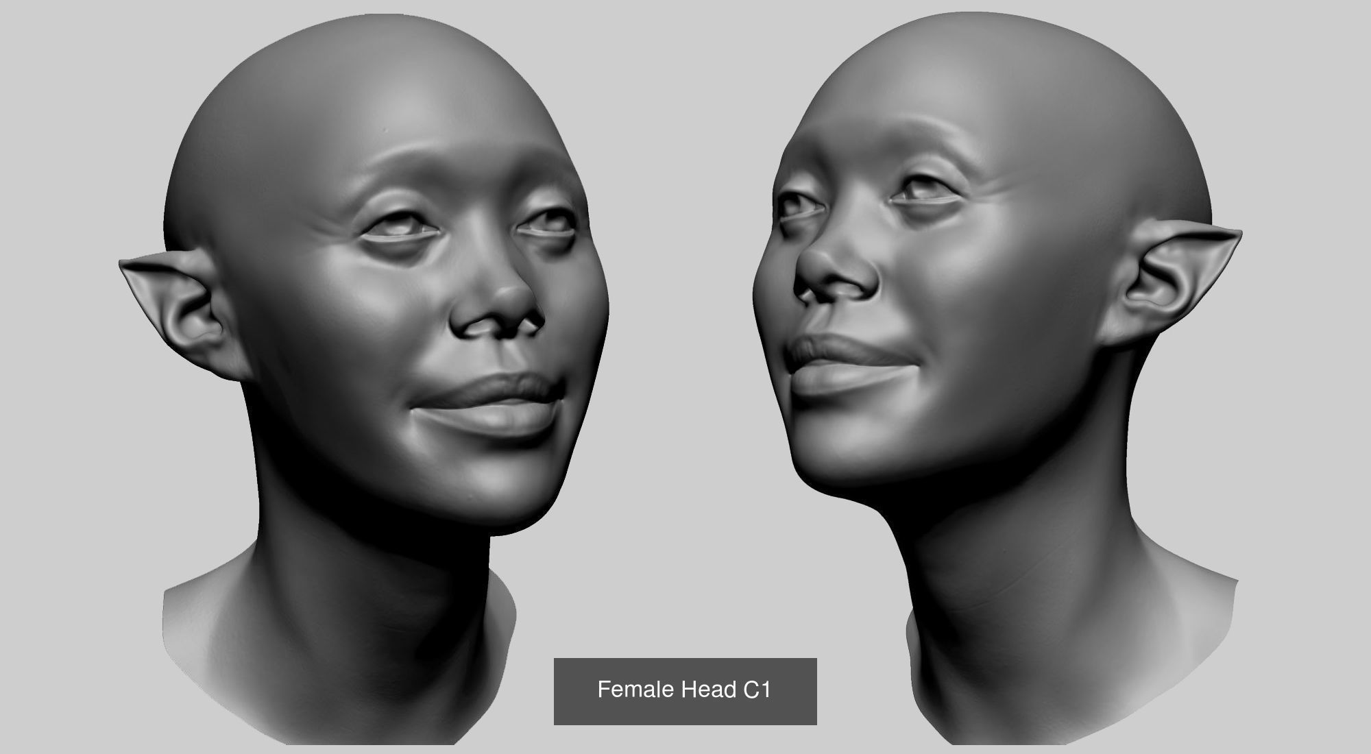 Various Male and Female Head A 3D Model Collection_7