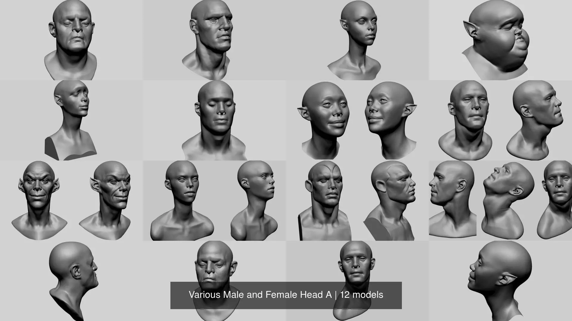 Various Male and Female Head A 3D Model Collection_0