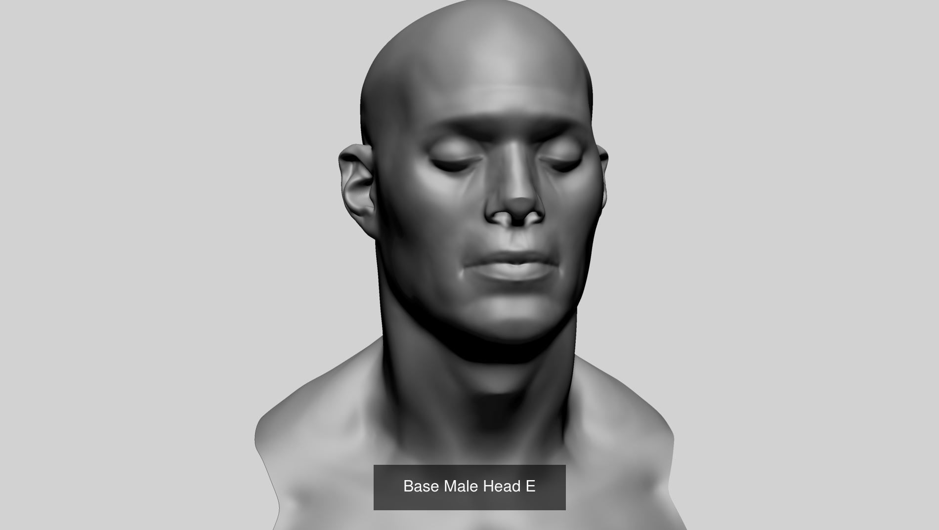 Various Male and Female Head A 3D Model Collection_6