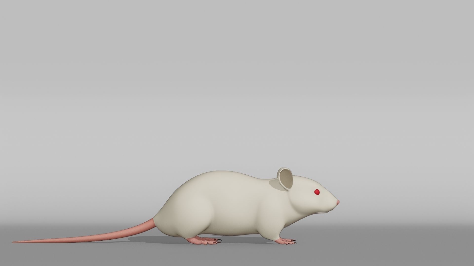 Mouse Base Mesh Low-poly 3D model_8