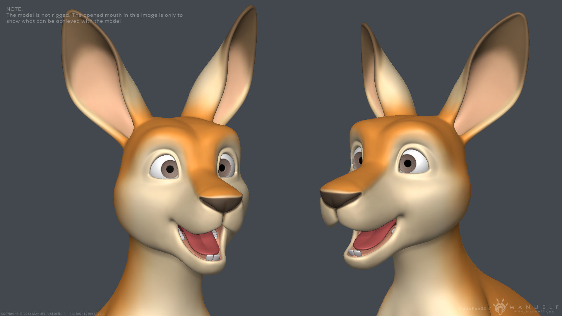 Stylized Cartoon Kangaroo 3D model_10