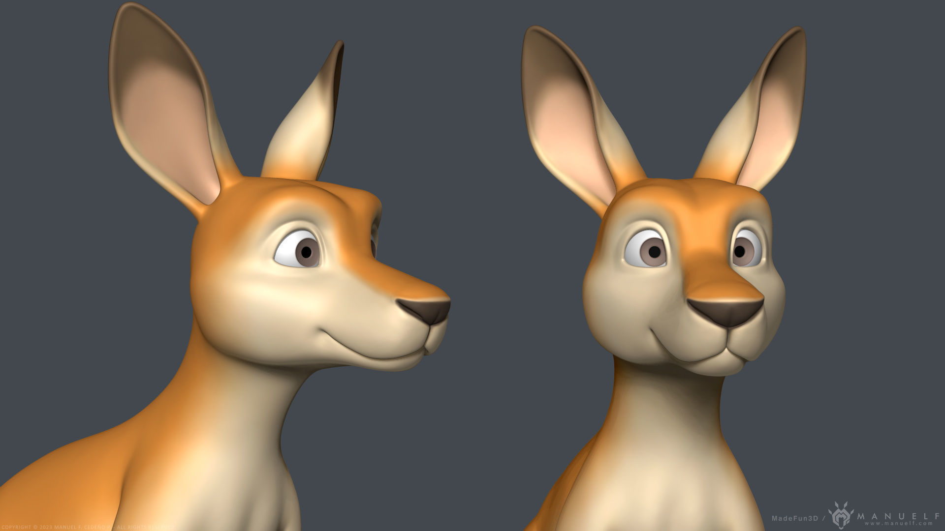 Stylized Cartoon Kangaroo 3D model_8