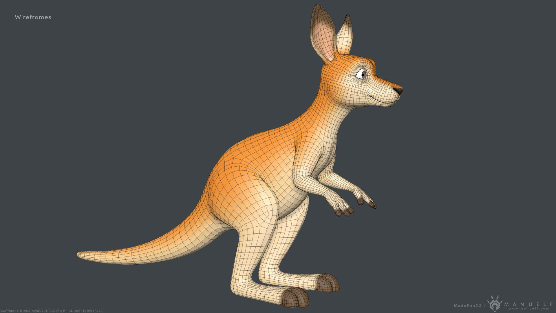 Stylized Cartoon Kangaroo 3D model_11