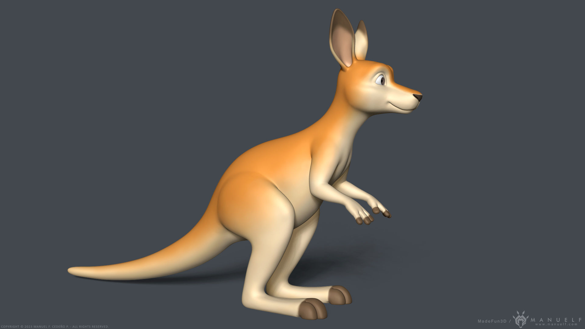 Stylized Cartoon Kangaroo 3D model_6