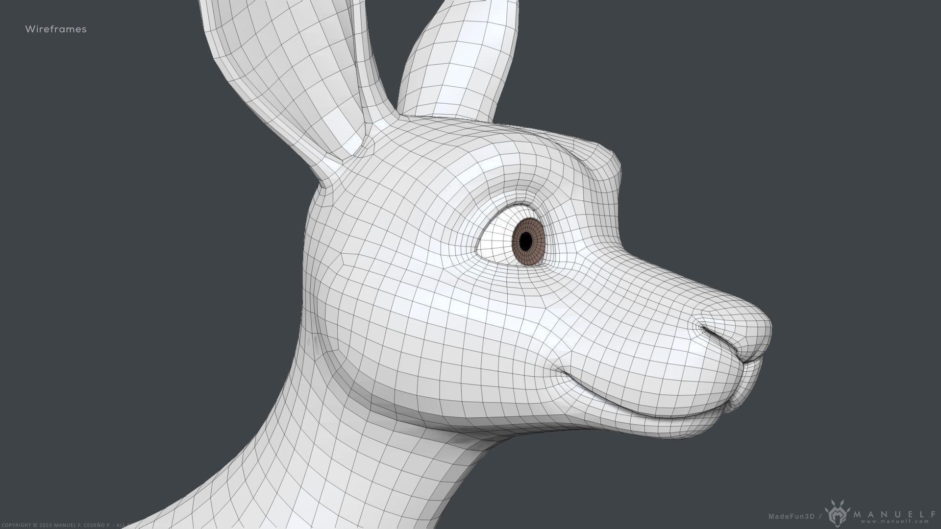 Stylized Cartoon Kangaroo 3D model_14