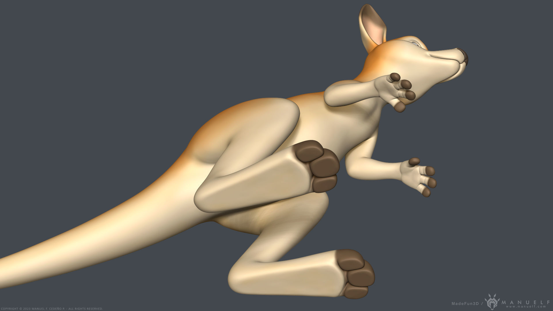 Stylized Cartoon Kangaroo 3D model_7