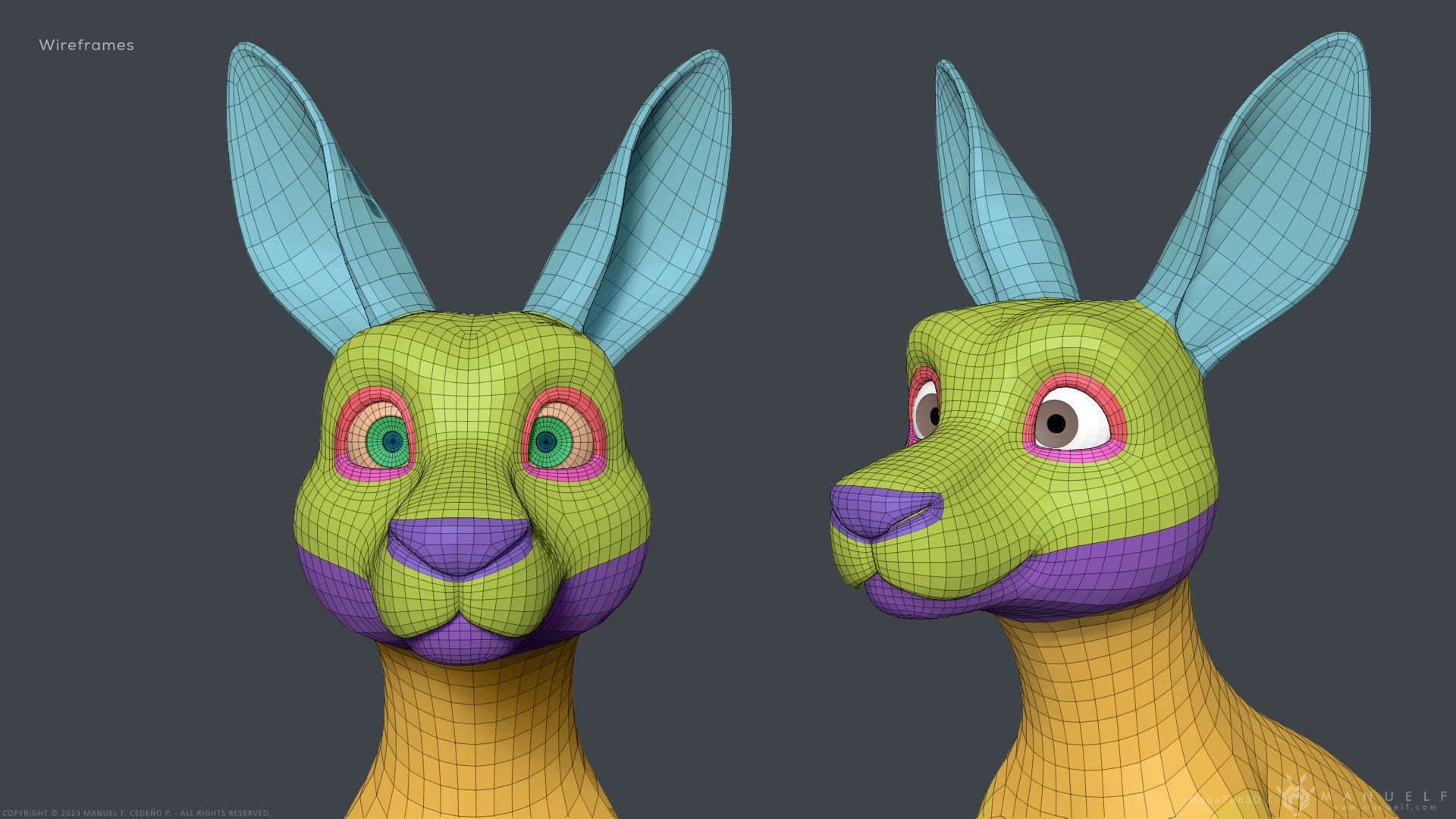 Stylized Cartoon Kangaroo 3D model_13