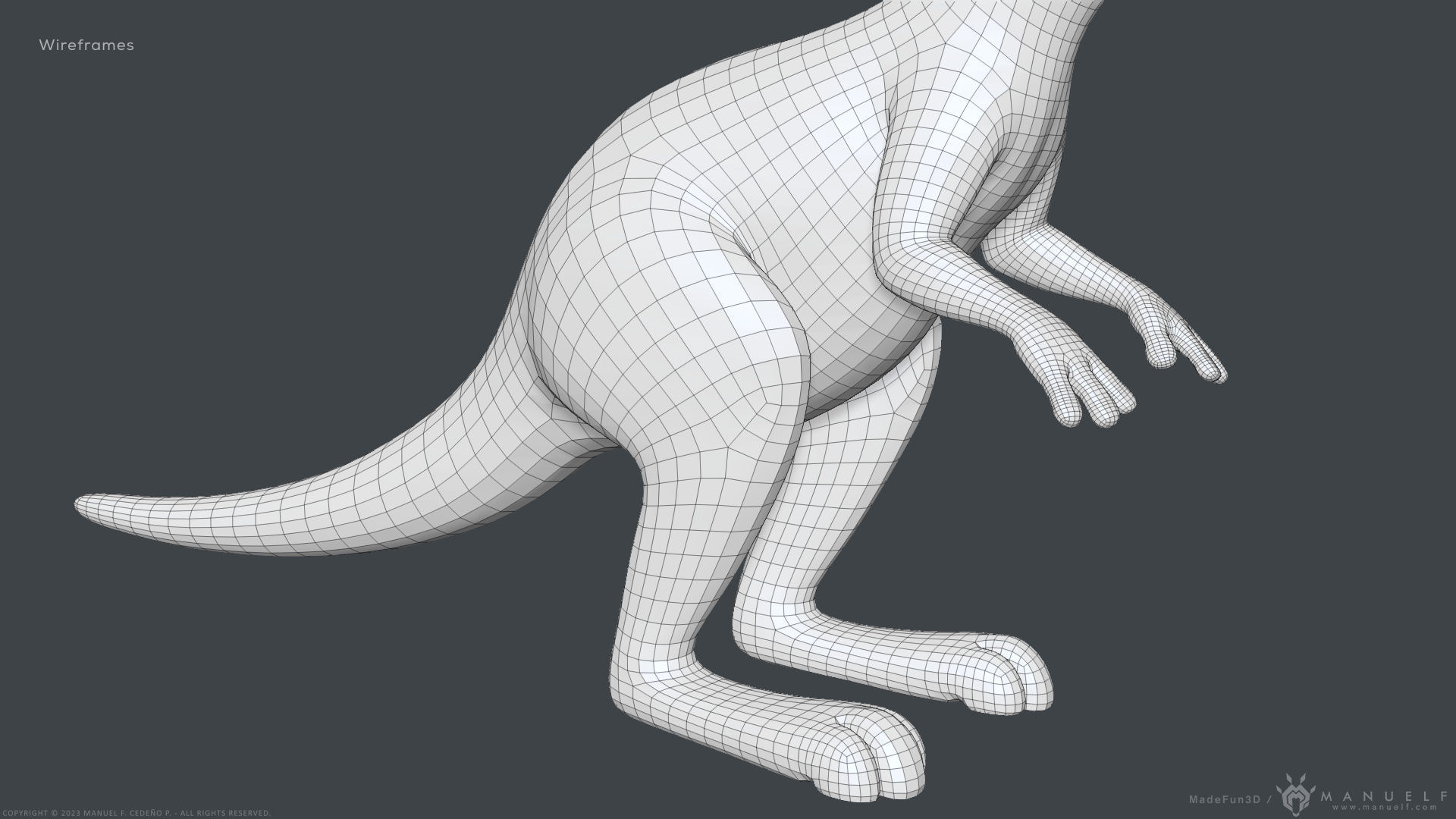 Stylized Cartoon Kangaroo 3D model_15