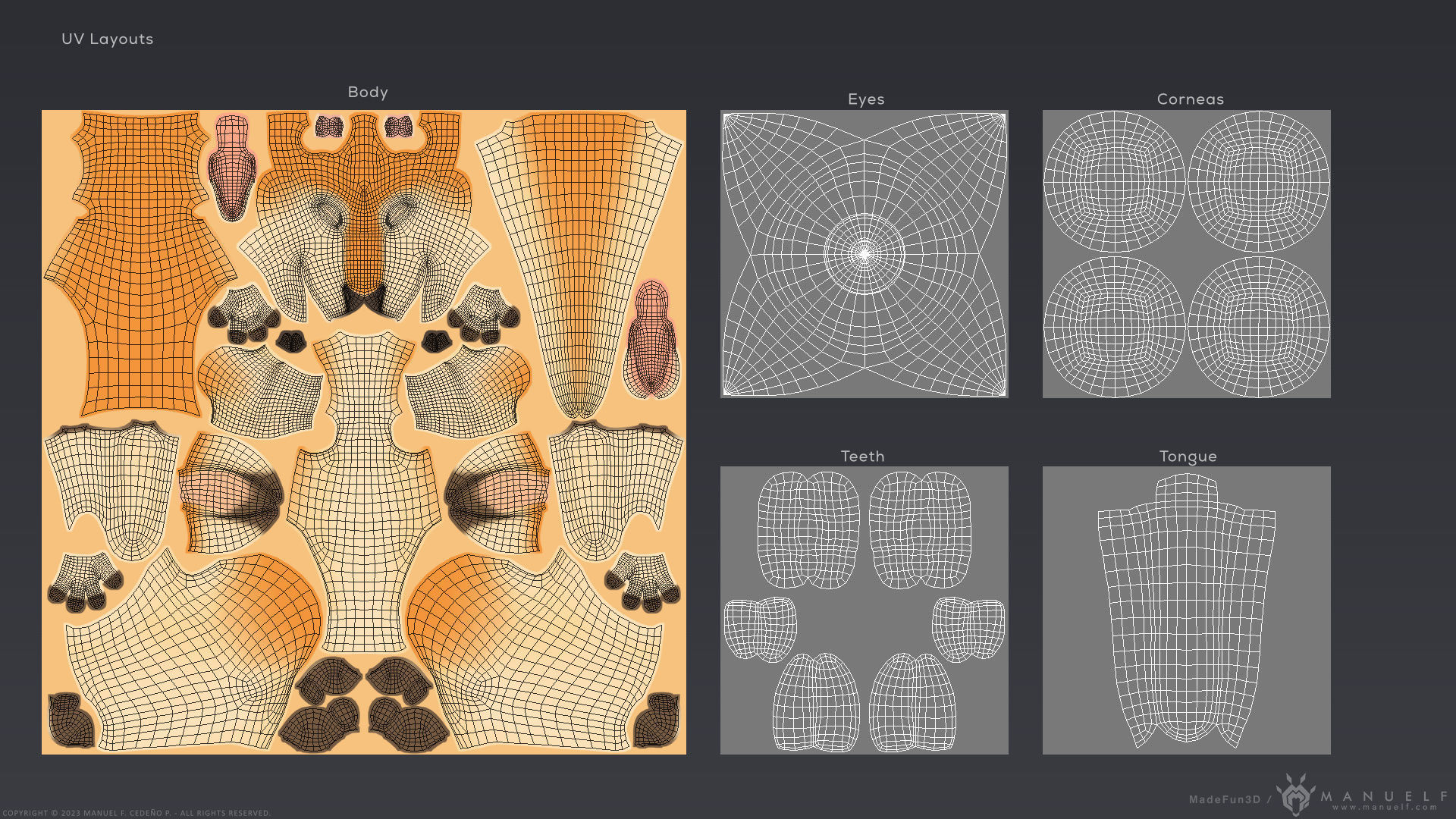 Stylized Cartoon Kangaroo 3D model_18