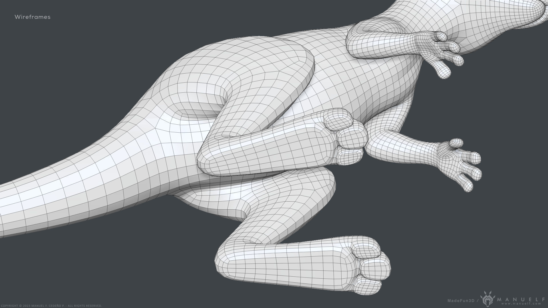 Stylized Cartoon Kangaroo 3D model_16