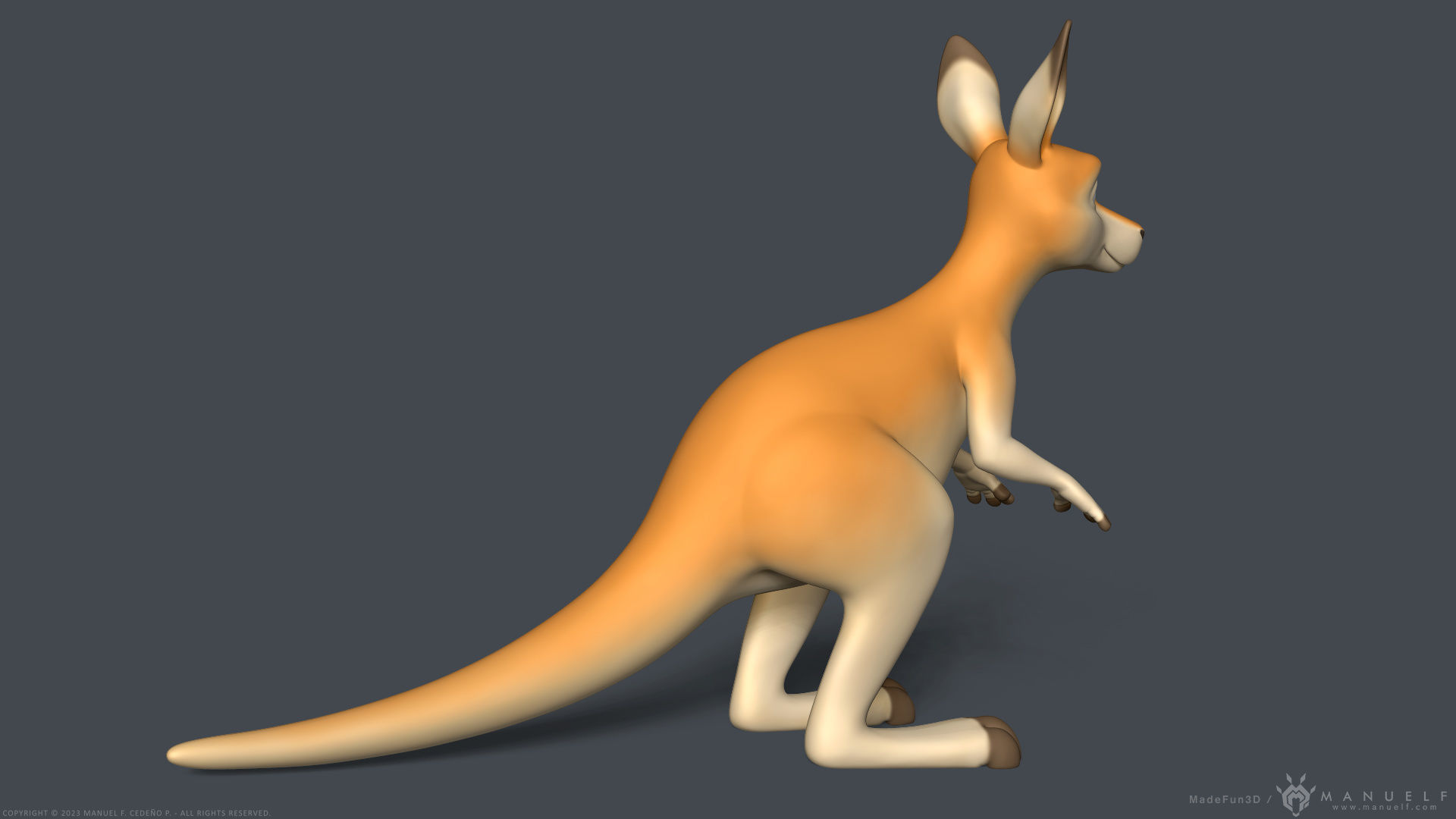 Stylized Cartoon Kangaroo 3D model_5