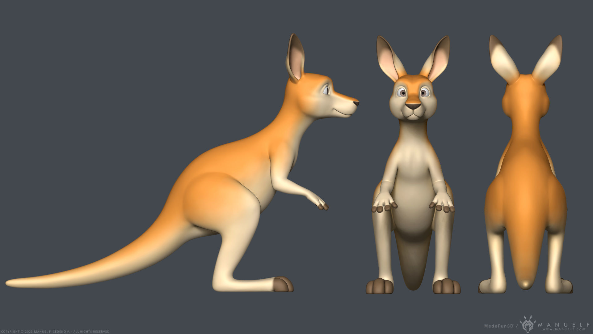 Stylized Cartoon Kangaroo 3D model_4