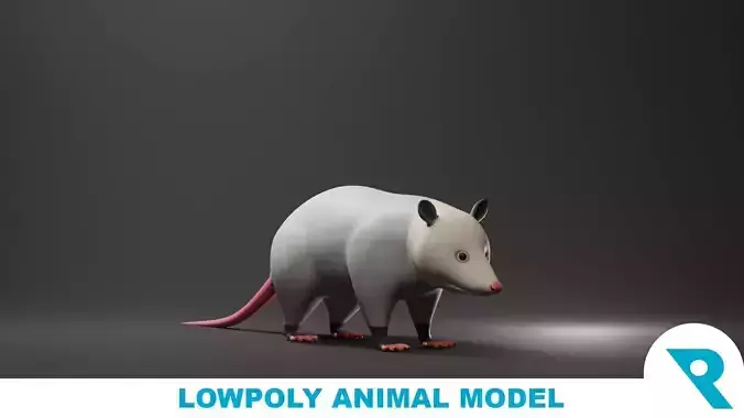 Opossum Base Mesh Low-poly 3D model