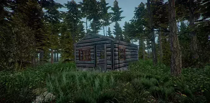 Forest Cabin