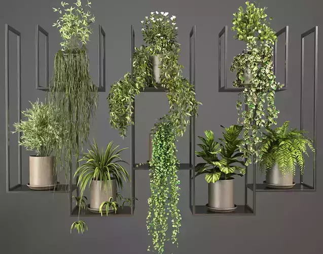 Indoor hanging Plants 2 3D model