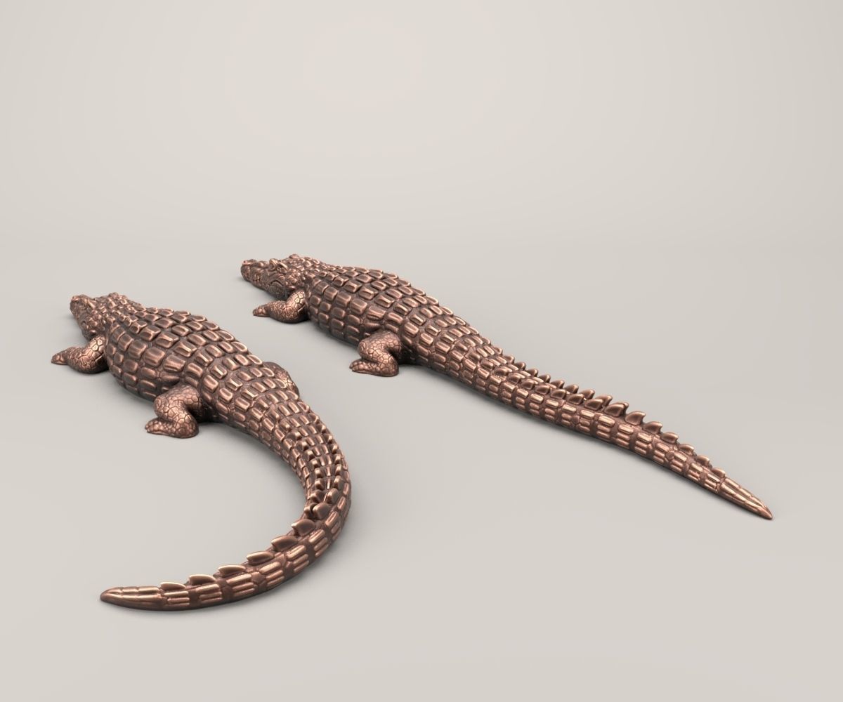 Crocodile two crocodiles 3D print model_2