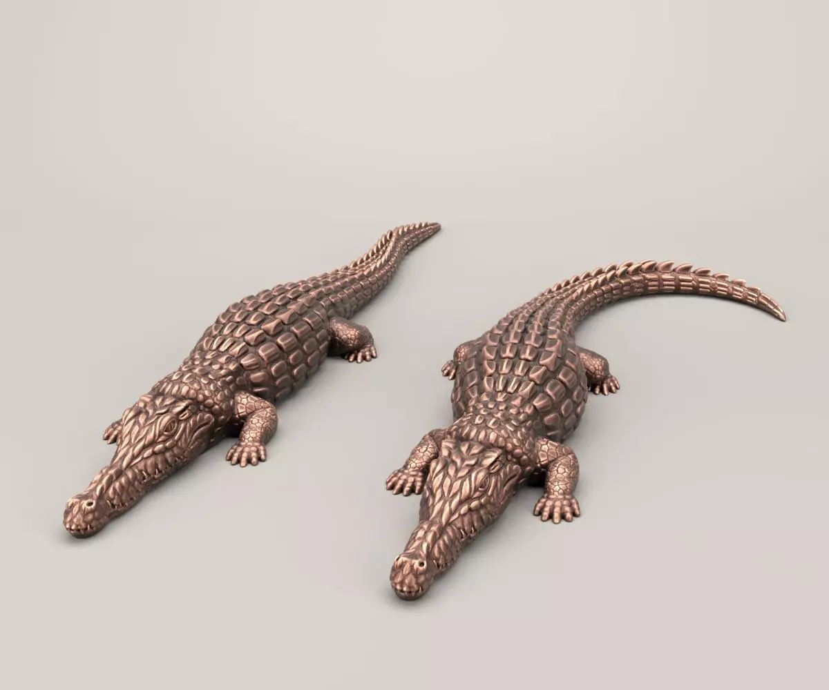 Crocodile two crocodiles 3D print model_0