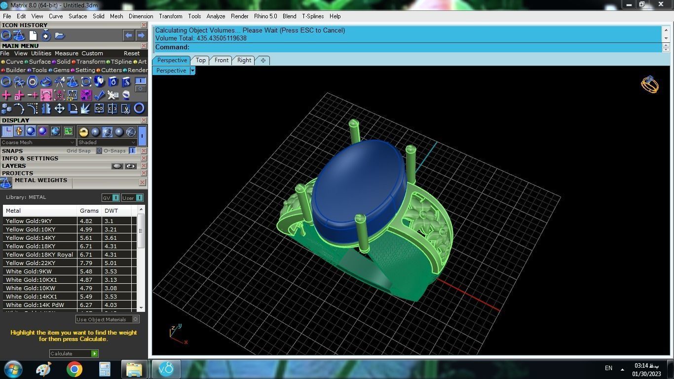 model 10 oval turquoise stone in gold and silver ring 3D print model_1