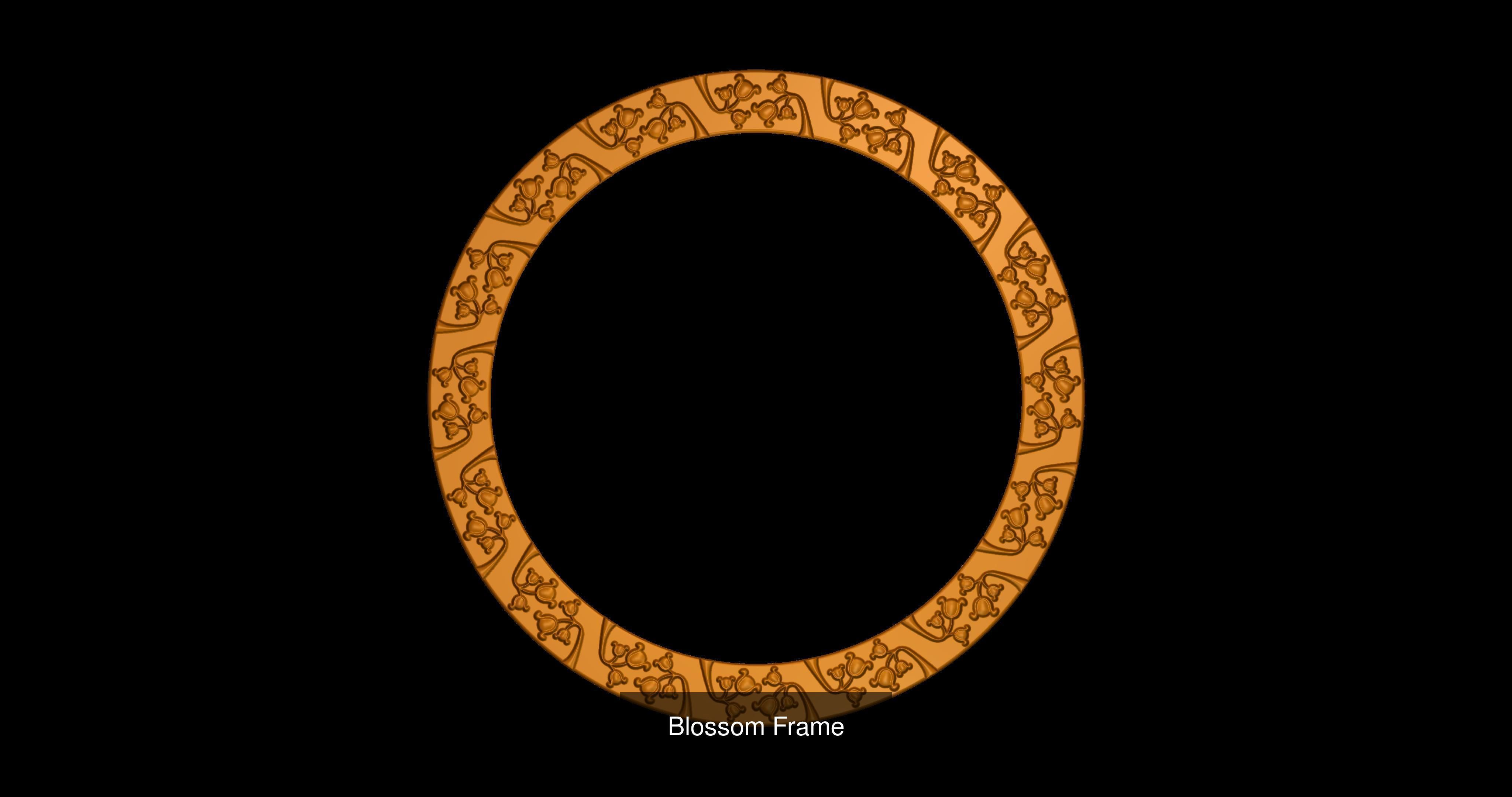 FRAMES mirror with ornate design 3D Model Collection_11