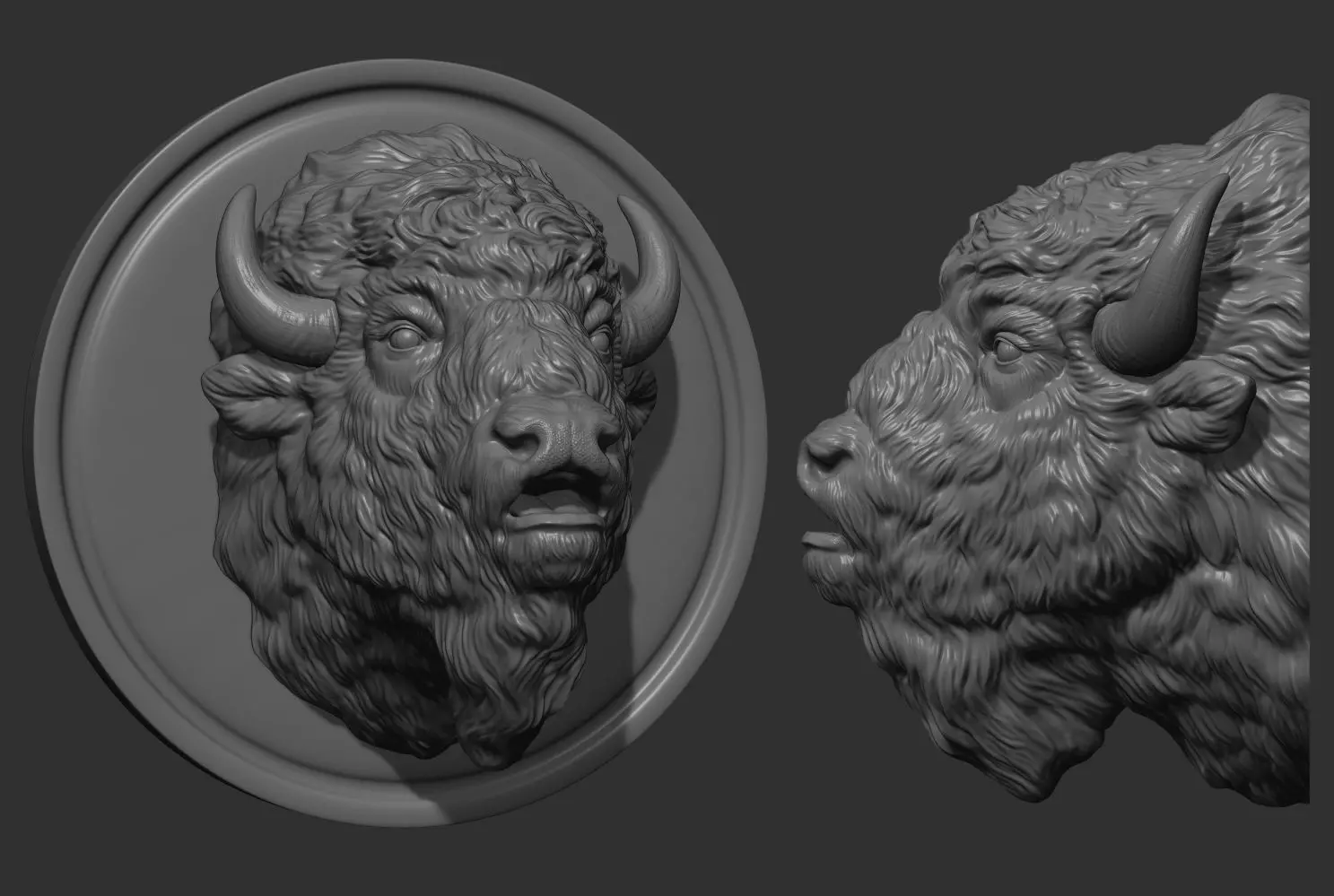 Bison moo head 3D print model