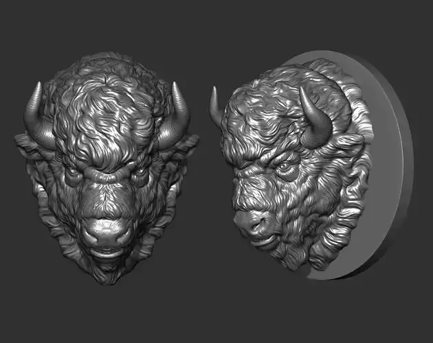 Bison angry head