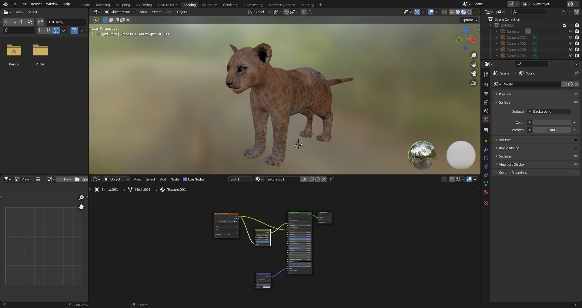 Fur Baby Lion Rigged in Blender Low-poly 3D model_14