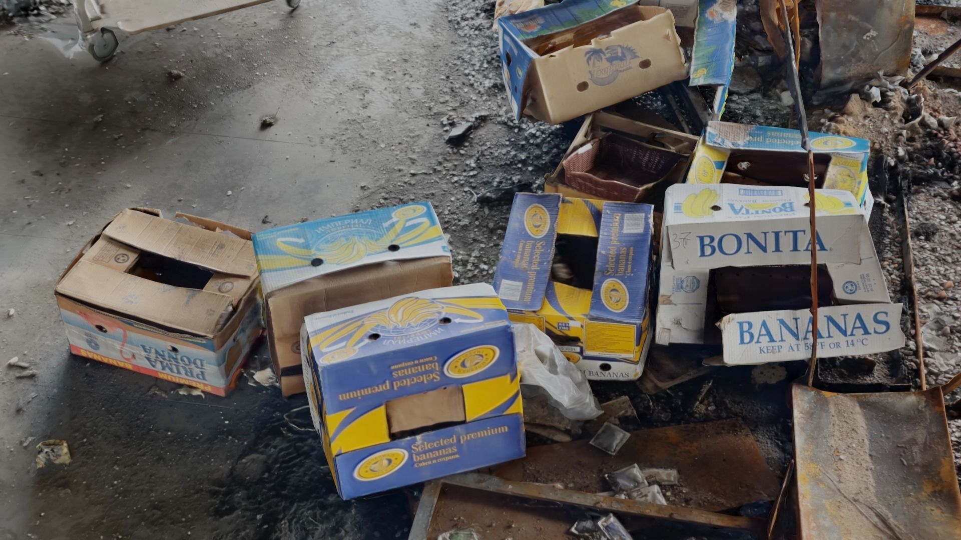 SCANS from Ukraine Supermarket Vol 2 Low-poly 3D model_33