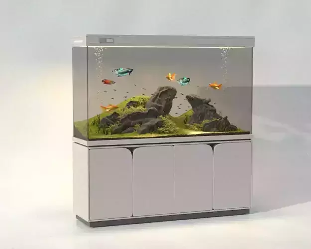 fish tank