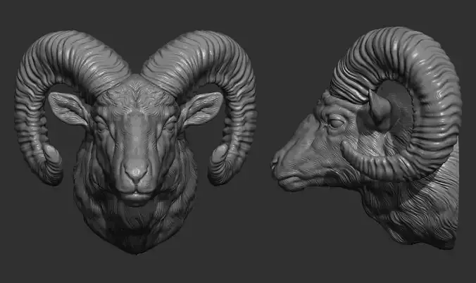 Big Horned Ram head 3D print model