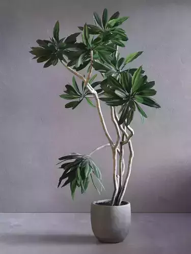 Tree 02 3D model
