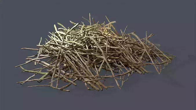 Pile of branches Low-poly 3D model