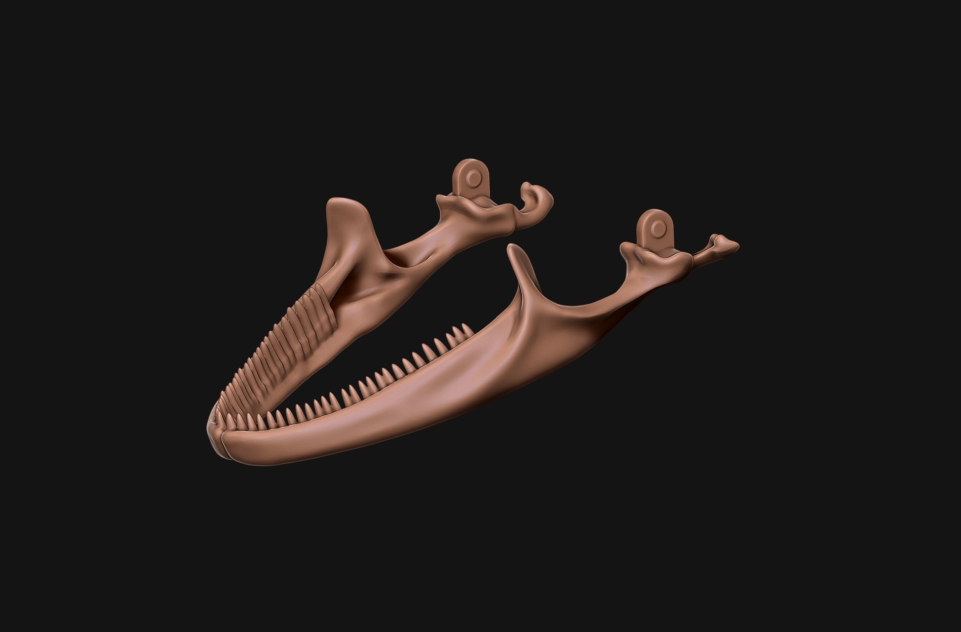 Gecko Skeleton DYS kit 3D print model_14