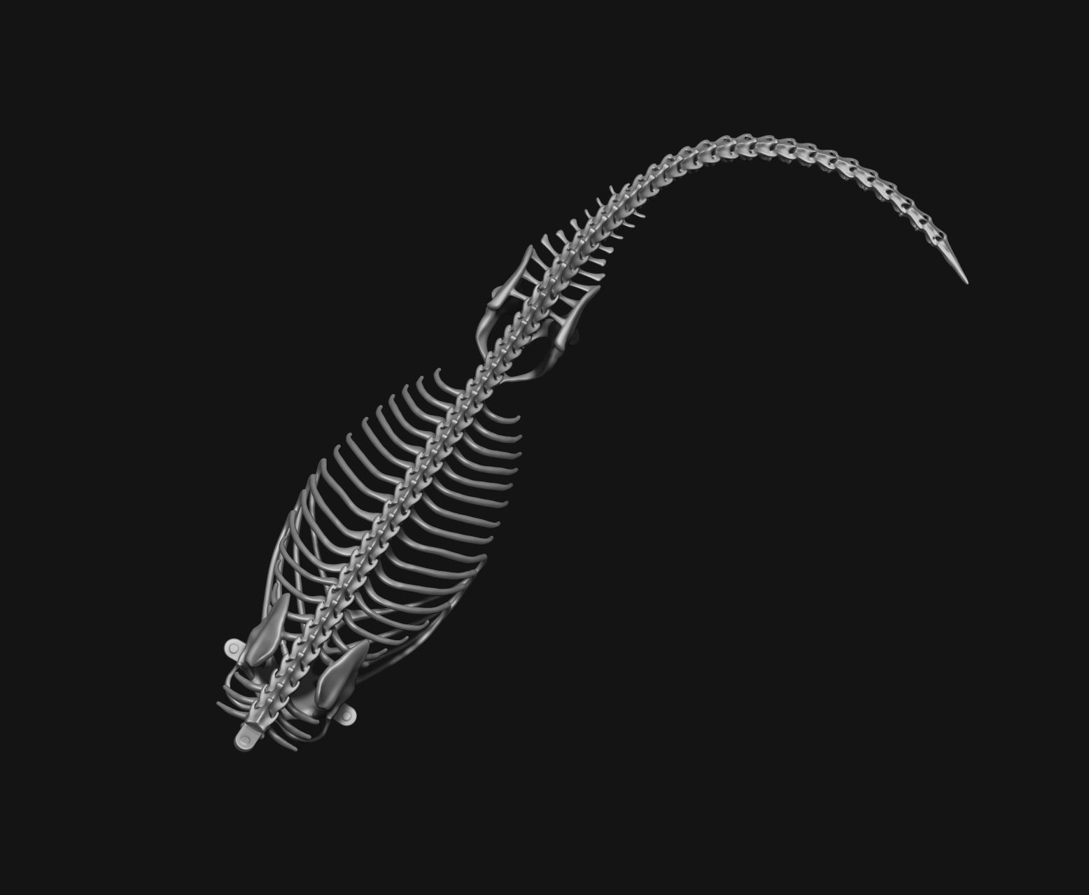Gecko Skeleton DYS kit 3D print model_6
